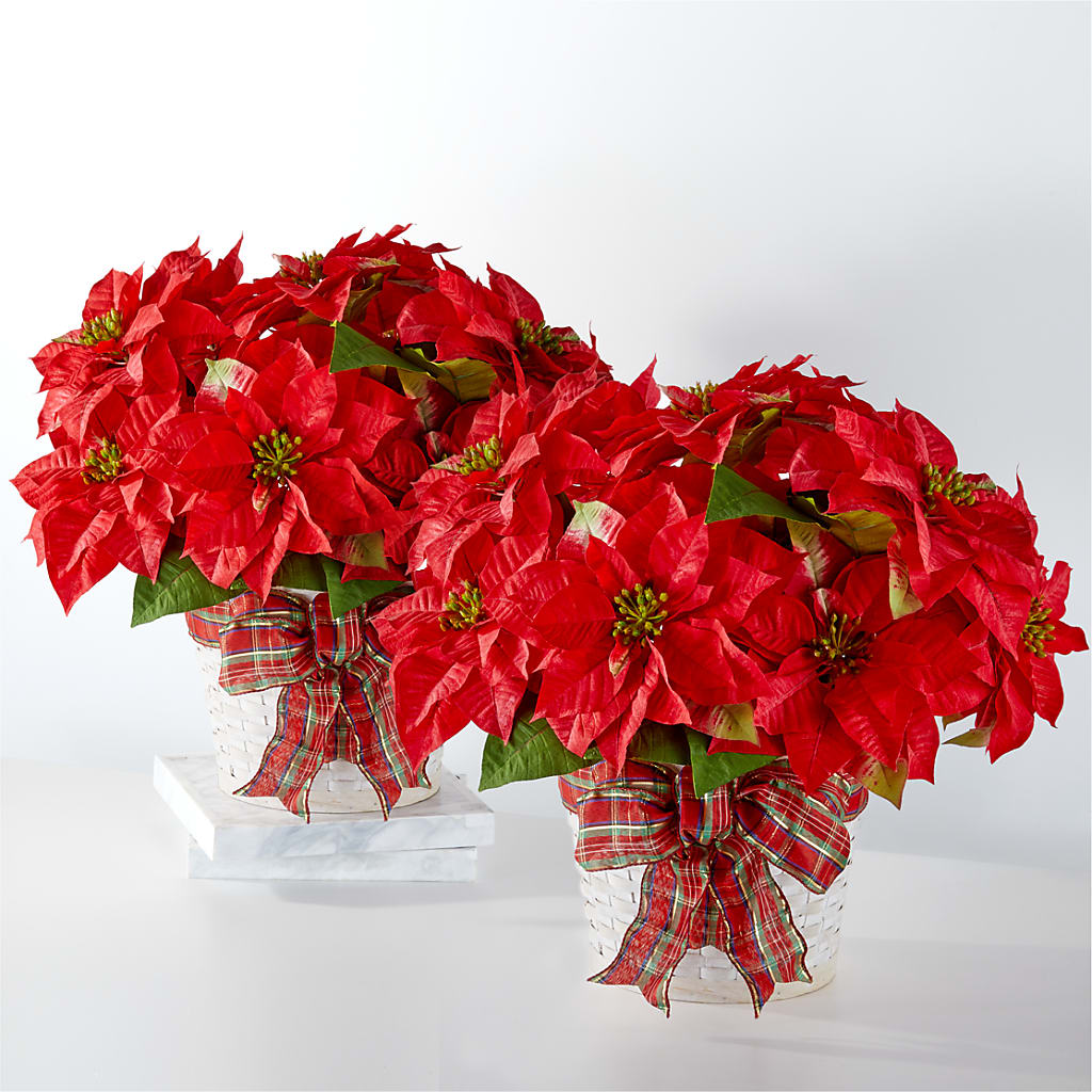 Happiest Holidays Poinsettia Bundle – La La Florist, Baldwin Park CA