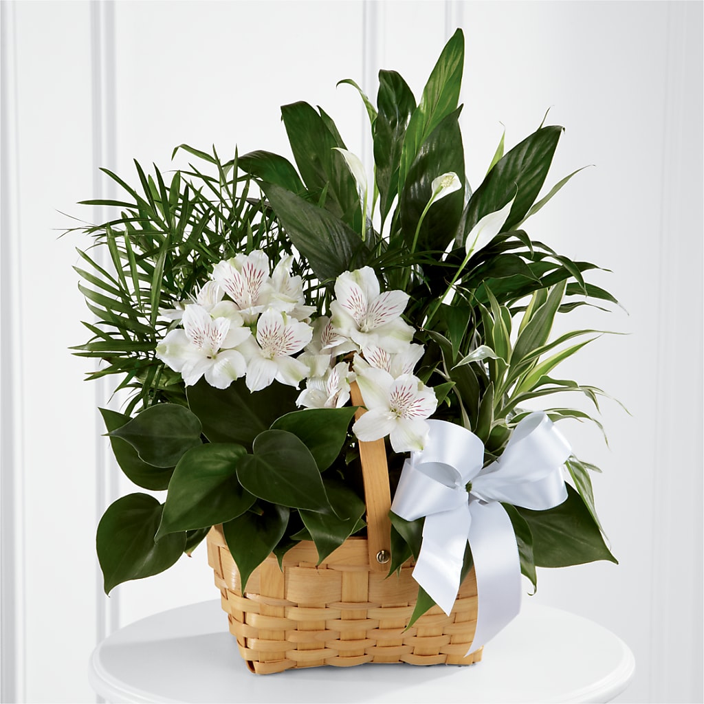 Peace & Serenity Dishgarden – La La Florist, Baldwin Park CA