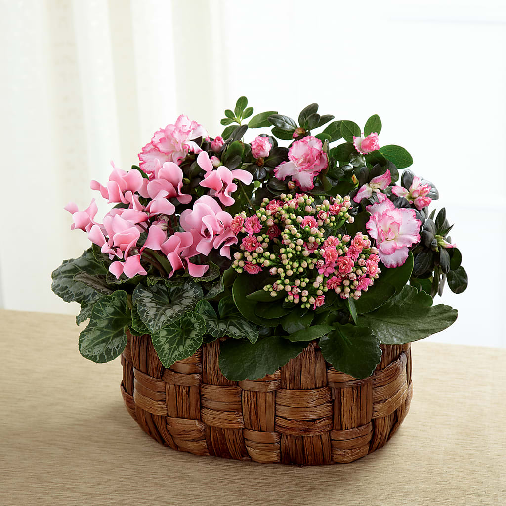 Pink Assortment – La La Florist, Baldwin Park CA