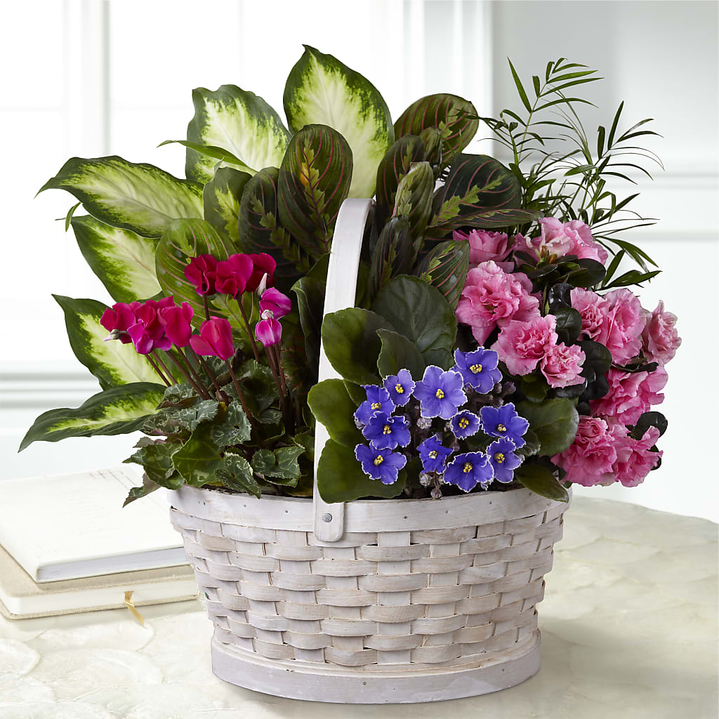 Peaceful Garden Planter – La La Florist, Baldwin Park CA