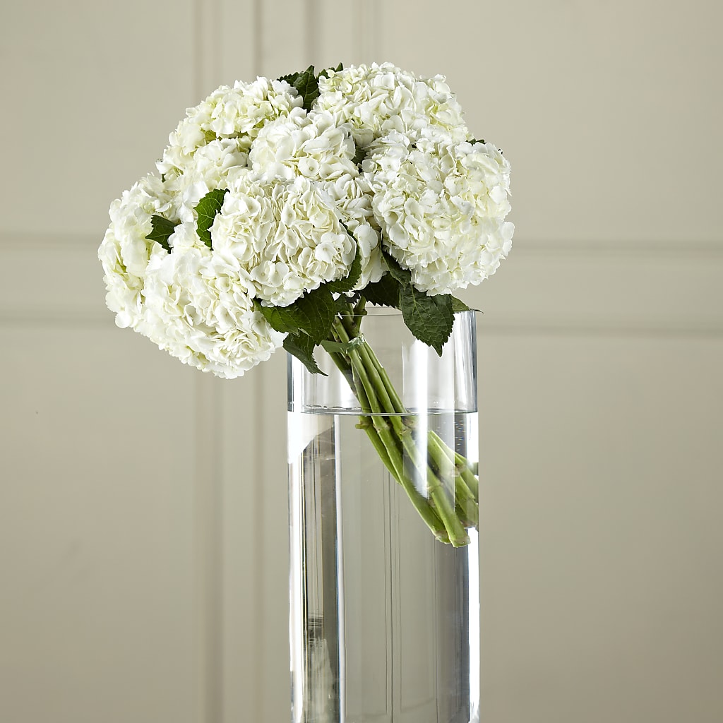 White Hydrangea Hand-Tied Bouquet – La La Florist, Baldwin Park CA