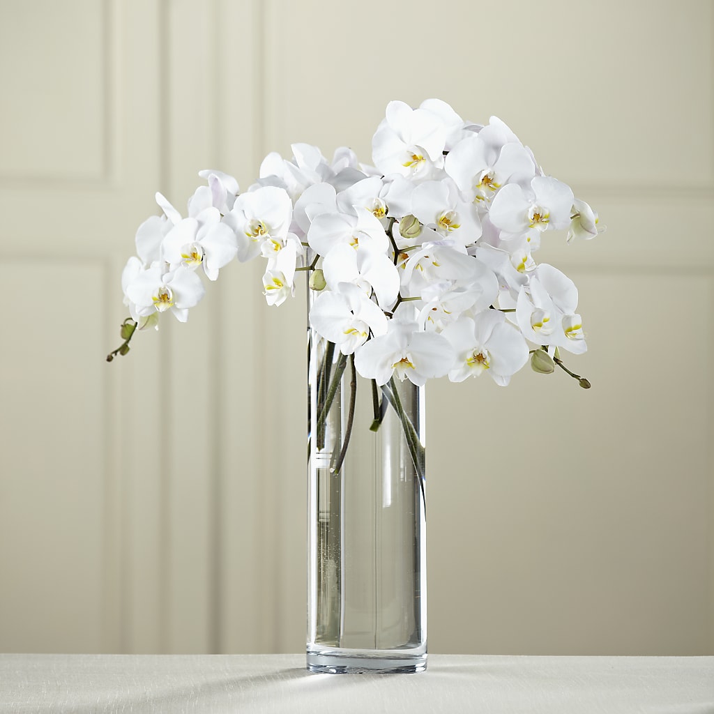 White Phalaenopsis Bouquet – La La Florist, Baldwin Park CA
