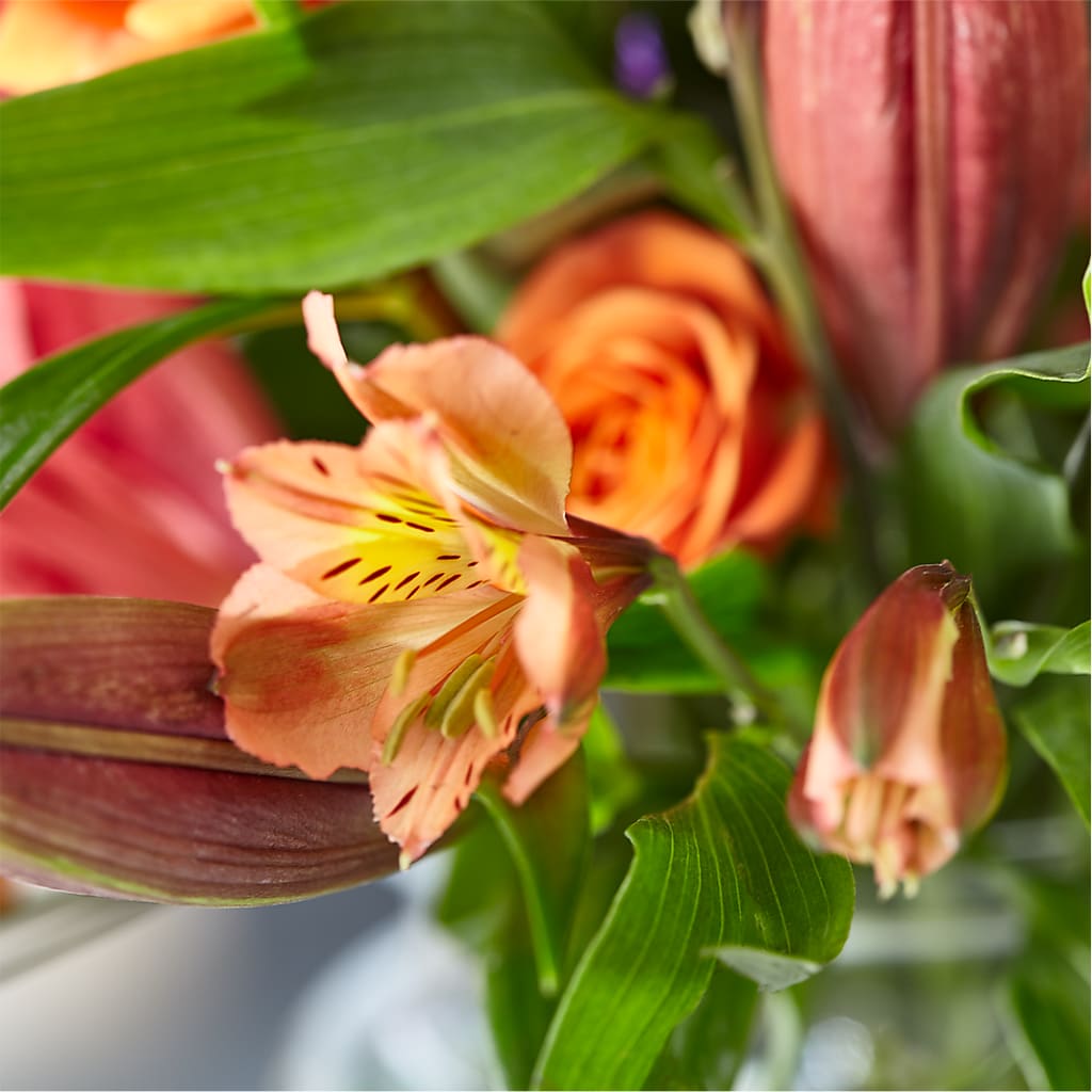 Bold & Bright – A Florist Original –  La La Florist, Baldwin Park CA