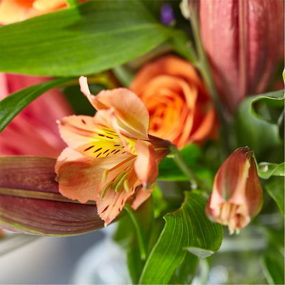 Bold & Bright – A Florist Original –  La La Florist, Baldwin Park CA