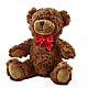 Adorable Plush Bear –  La La Florist, Baldwin Park CA