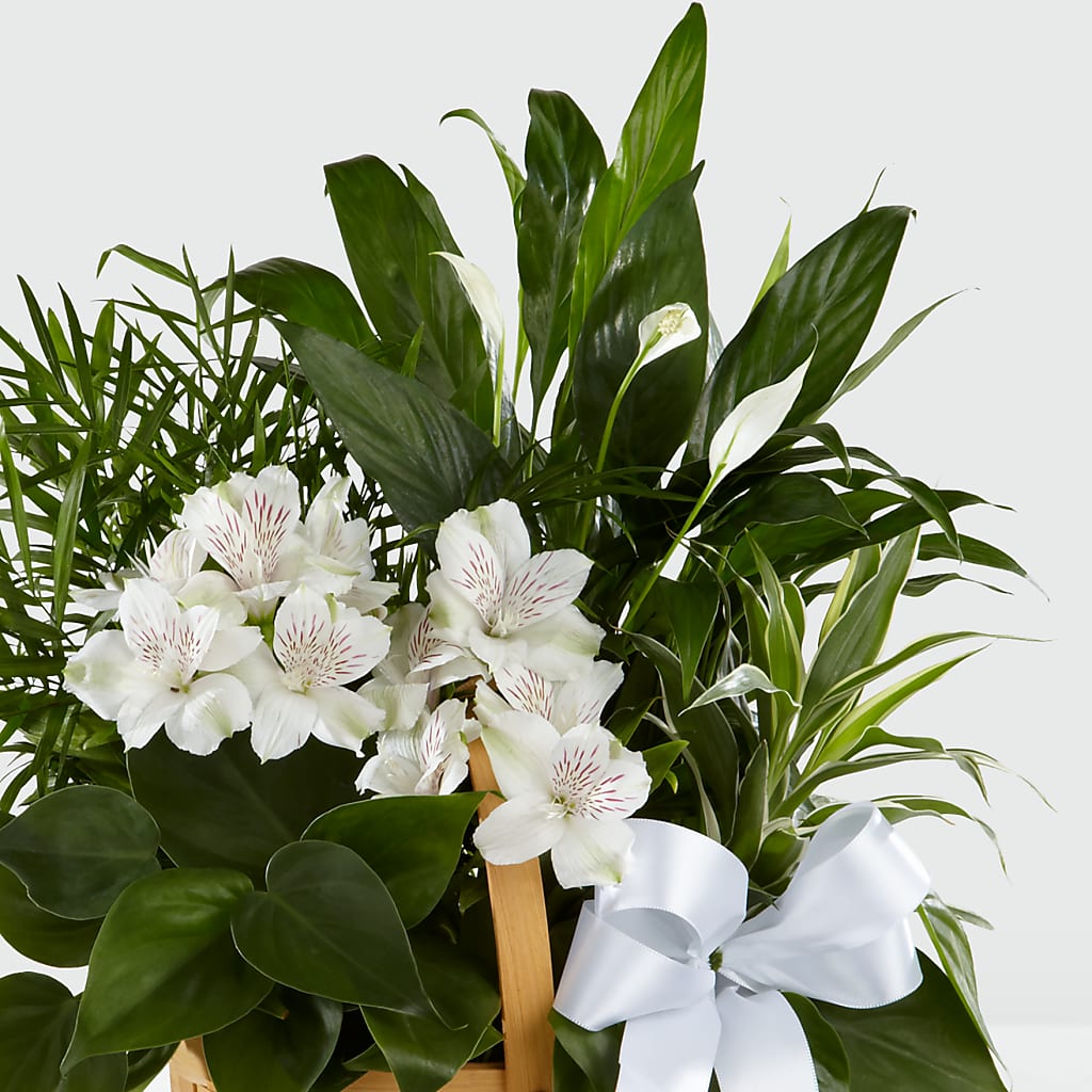 Peace & Serenity Dishgarden –  La La Florist, Baldwin Park CA