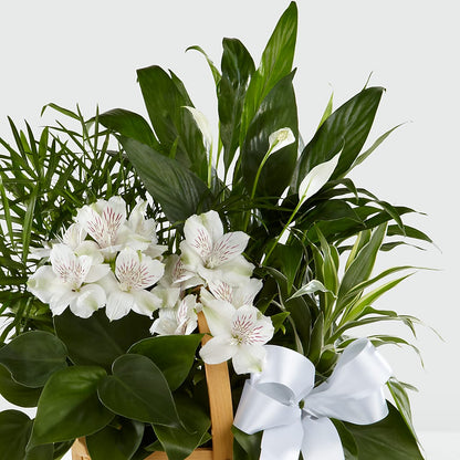 Peace & Serenity Dishgarden –  La La Florist, Baldwin Park CA