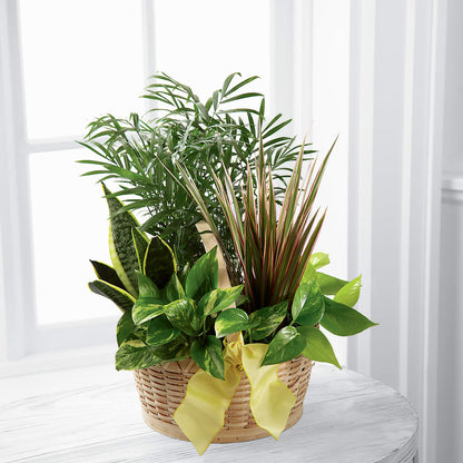 French Garden –  La La Florist, Baldwin Park CA