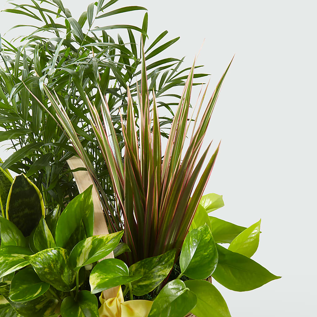 French Garden –  La La Florist, Baldwin Park CA