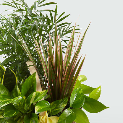 French Garden –  La La Florist, Baldwin Park CA