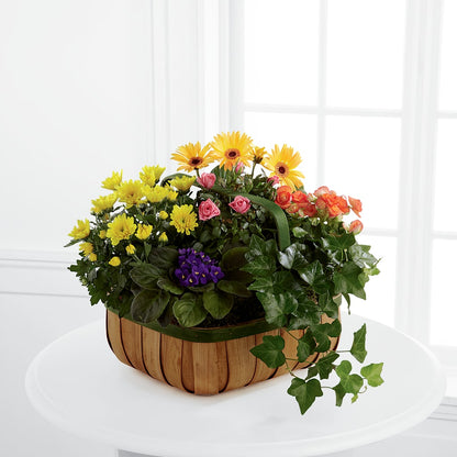 Gentle Blossoms Basket –  La La Florist, Baldwin Park CA