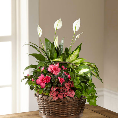 Dream in Pink Dishgarden –  La La Florist, Baldwin Park CA