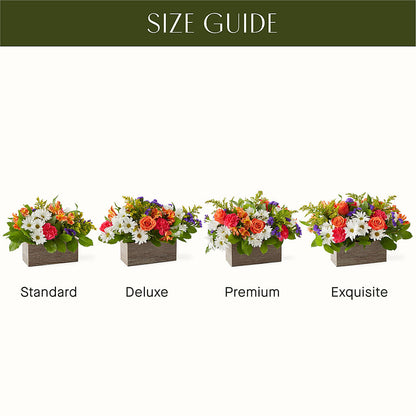 Oopsie Daisy Box Bouquet –  La La Florist, Baldwin Park CA
