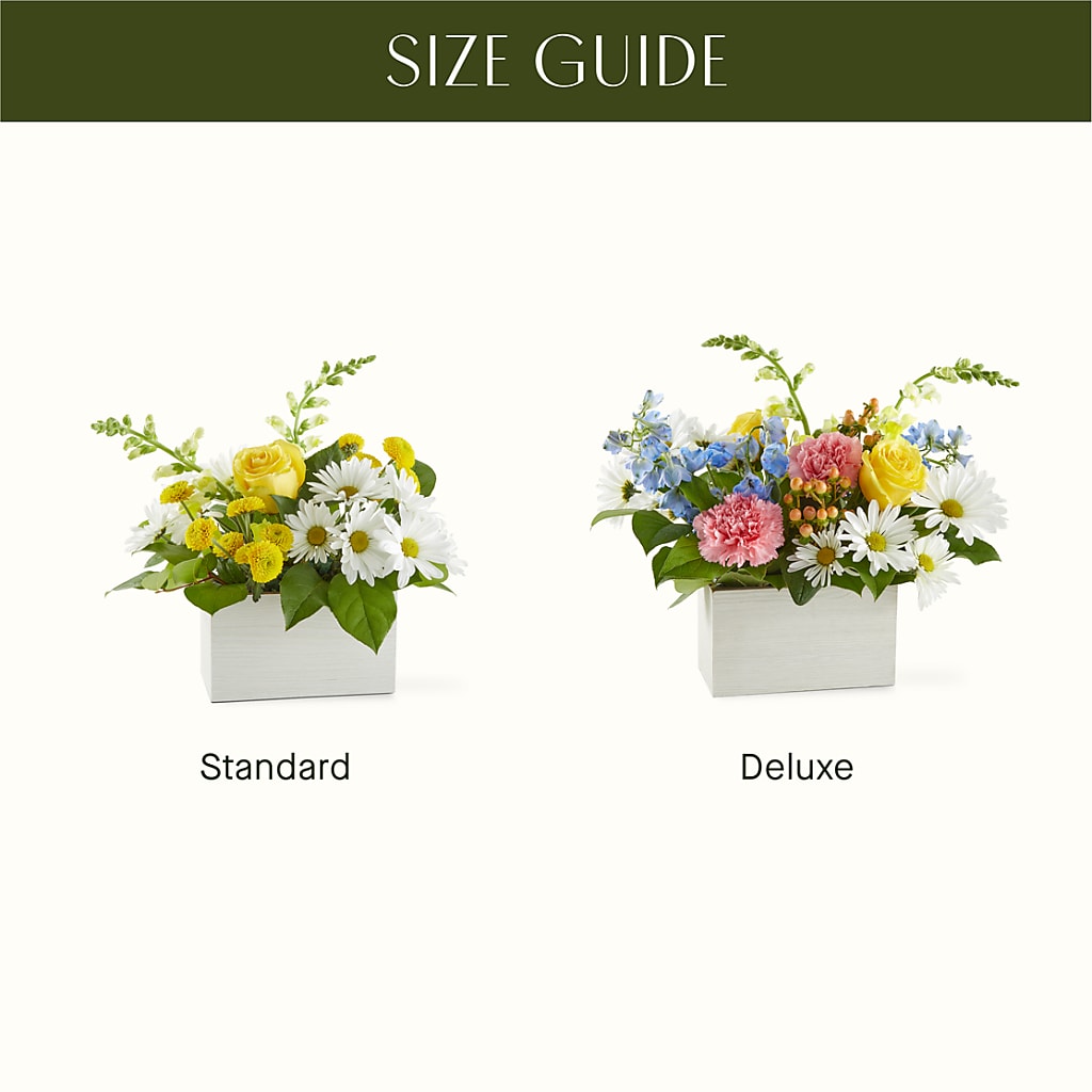 Sun Salutation Box Bouquet –  La La Florist, Baldwin Park CA
