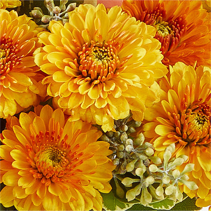 Peachy Pumpkin –  La La Florist, Baldwin Park CA