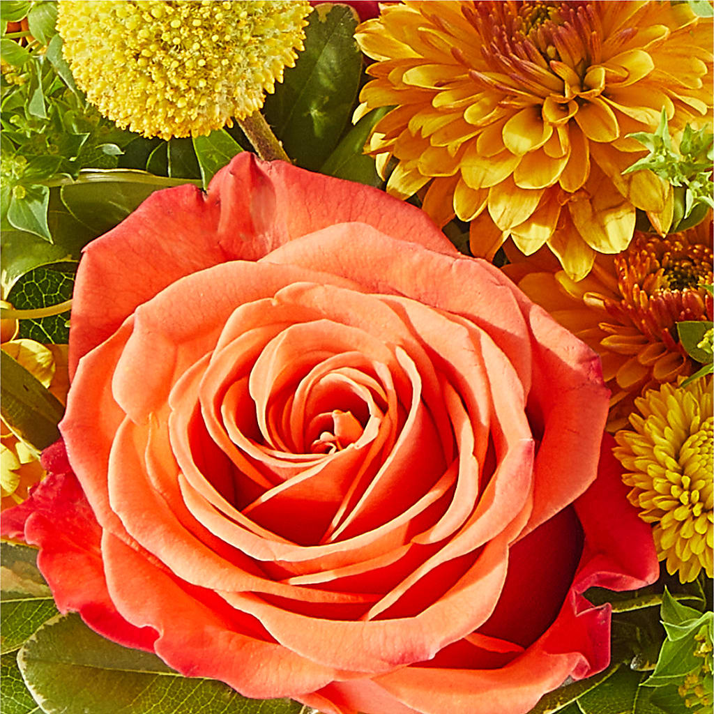Gourdgeous Pumpkin –  La La Florist, Baldwin Park CA