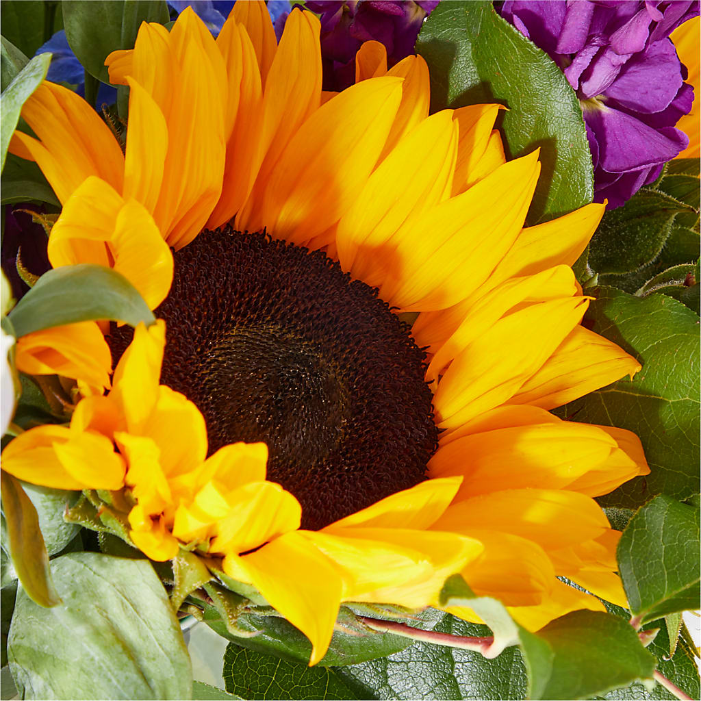 Catching Rays Bouquet –  La La Florist, Baldwin Park CA