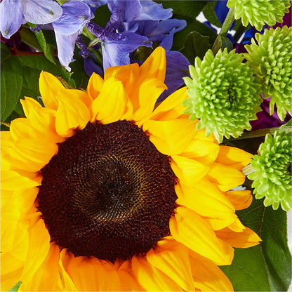 Catching Rays Bouquet –  La La Florist, Baldwin Park CA
