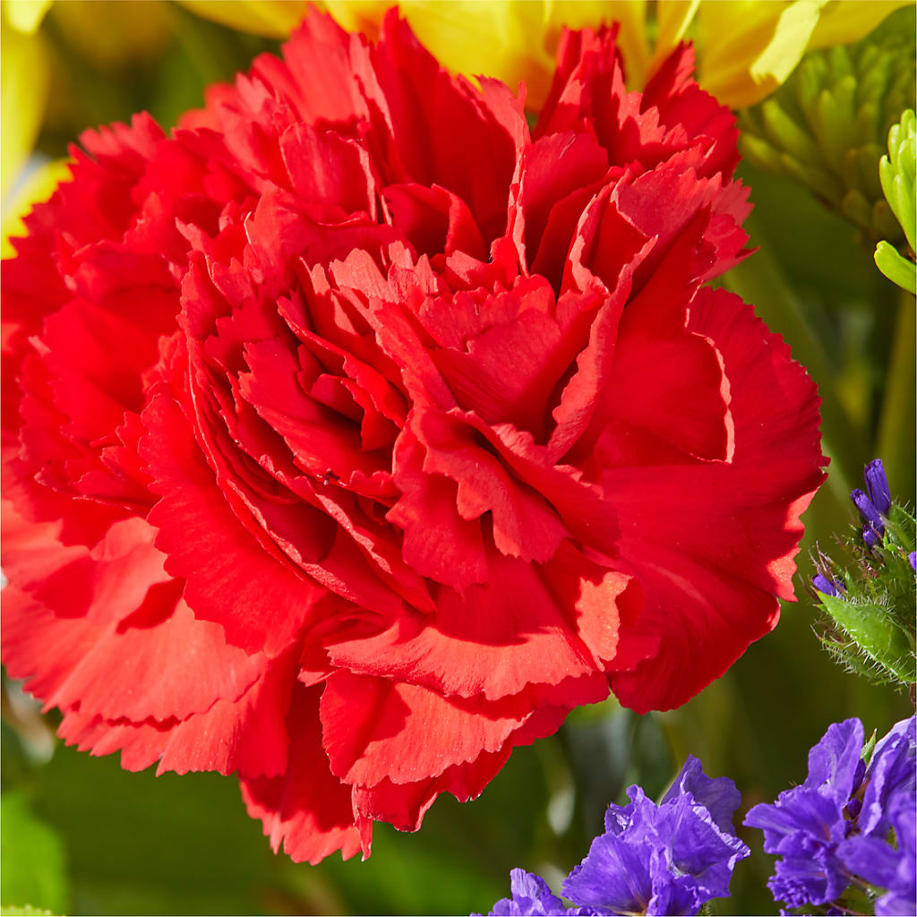 Brighter Days Bouquet –  La La Florist, Baldwin Park CA