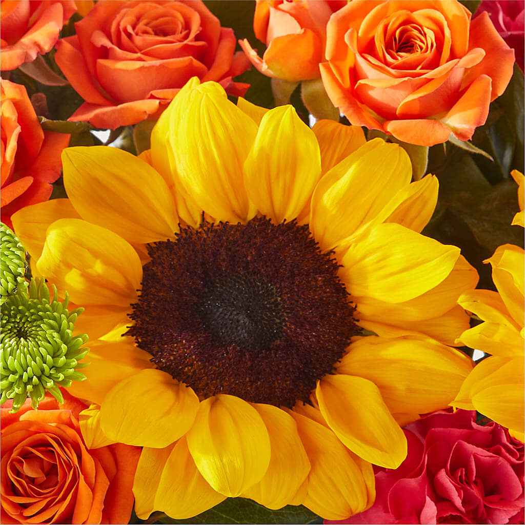 Sun-drenched Blooms Box Bouquet –  La La Florist, Baldwin Park CA