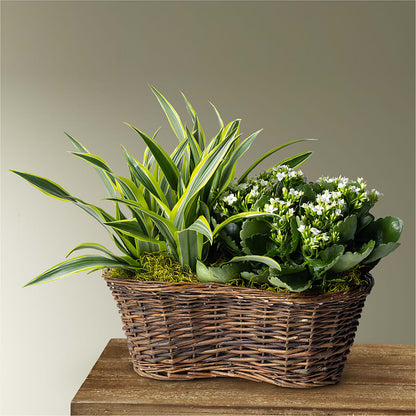 Blooming Garden –  La La Florist, Baldwin Park CA