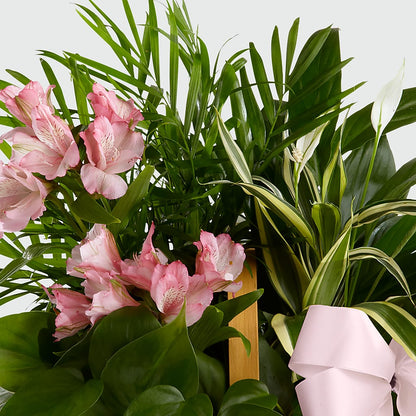 Living Spirit Dishgarden –  La La Florist, Baldwin Park CA