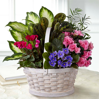 Peaceful Garden Planter –  La La Florist, Baldwin Park CA