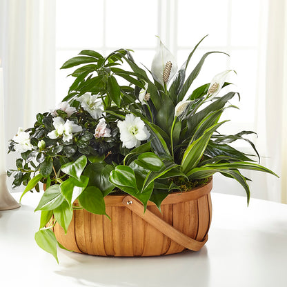 Serene Dishgarden –  La La Florist, Baldwin Park CA