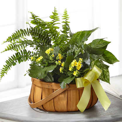 Always Dear Dishgarden –  La La Florist, Baldwin Park CA