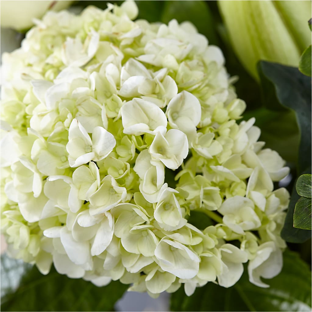 Classic Ivory – A Florist Original –  La La Florist, Baldwin Park CA
