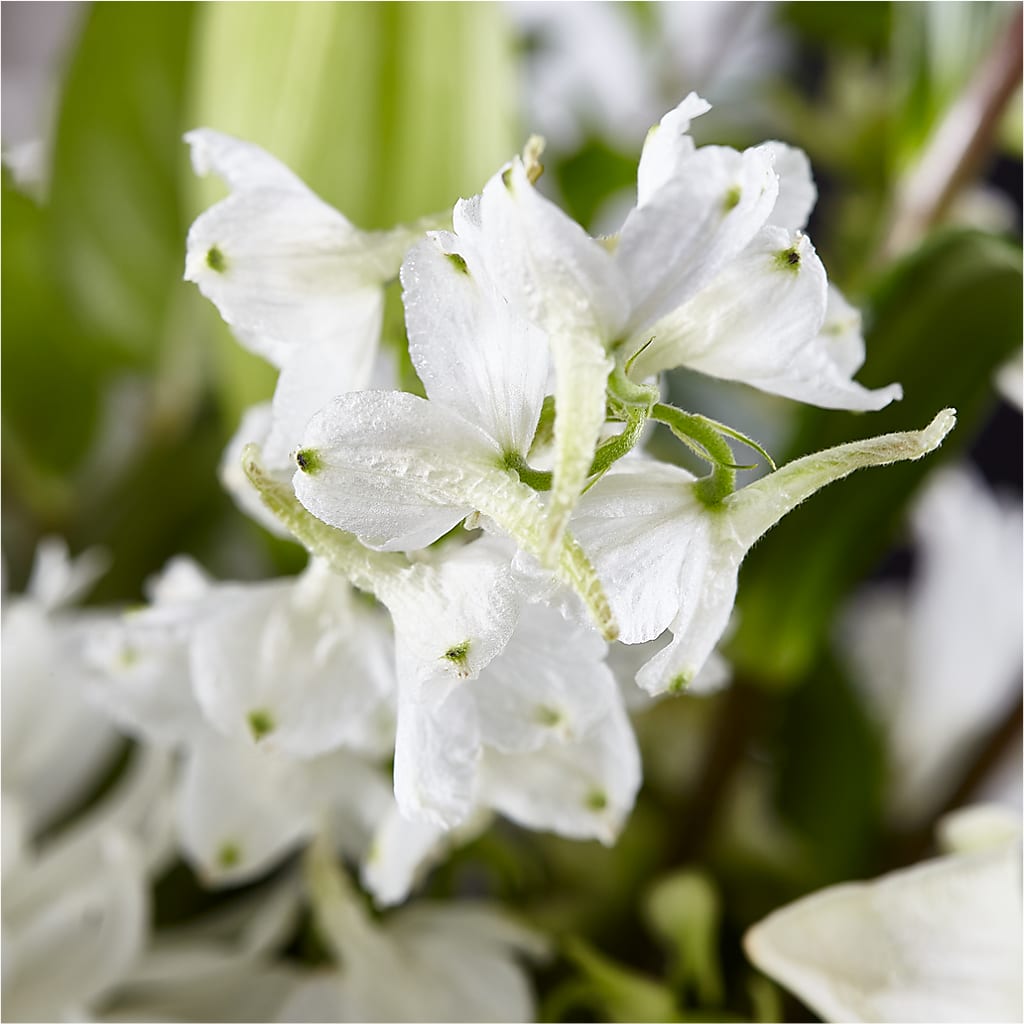 Classic Ivory – A Florist Original –  La La Florist, Baldwin Park CA