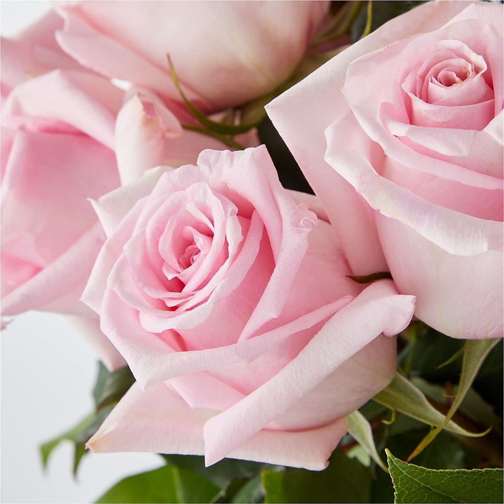 Picture Perfect Pink Rose Bouquet –  La La Florist, Baldwin Park CA