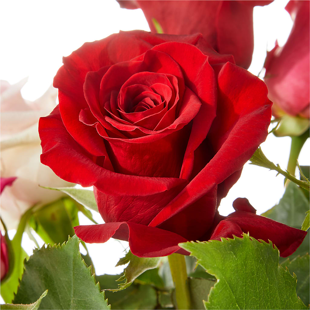 Love Notes Rose Bouquet –  La La Florist, Baldwin Park CA