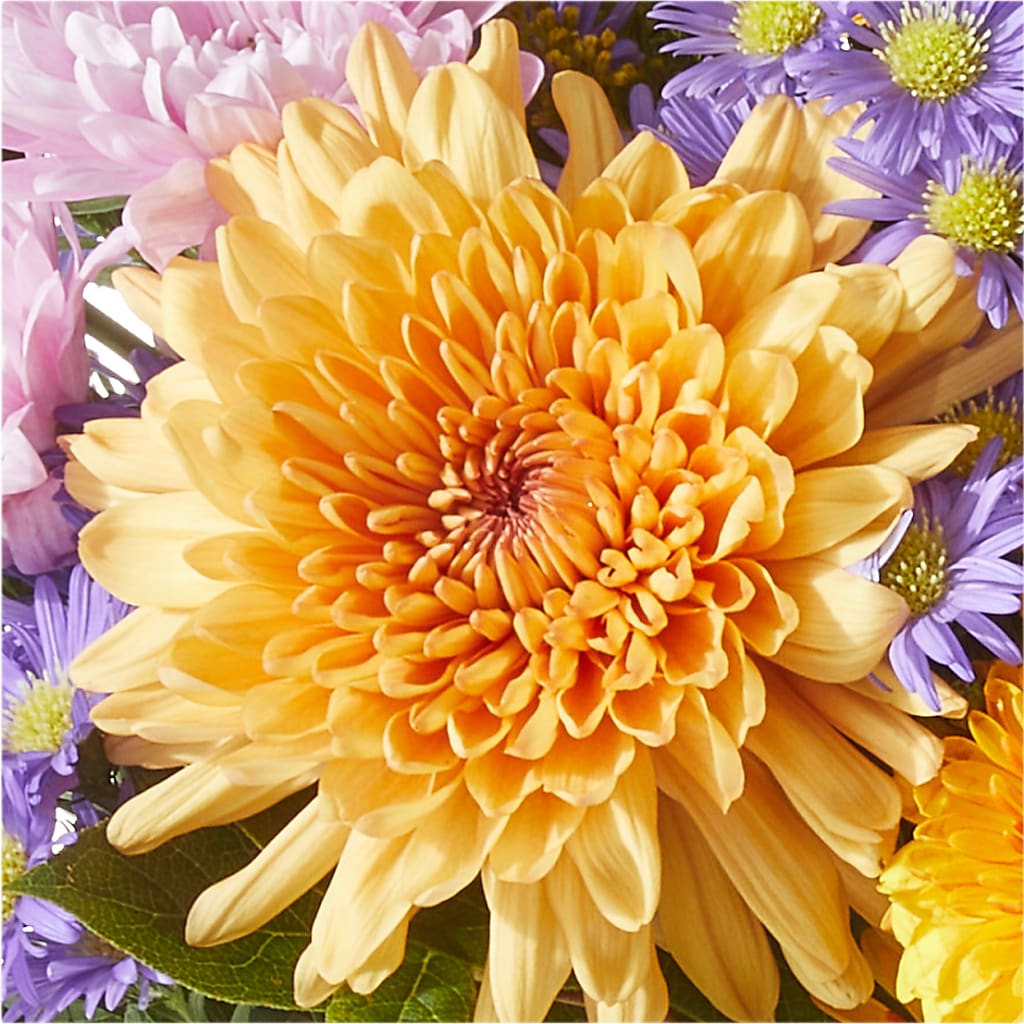 Countryside Bouquet –  La La Florist, Baldwin Park CA