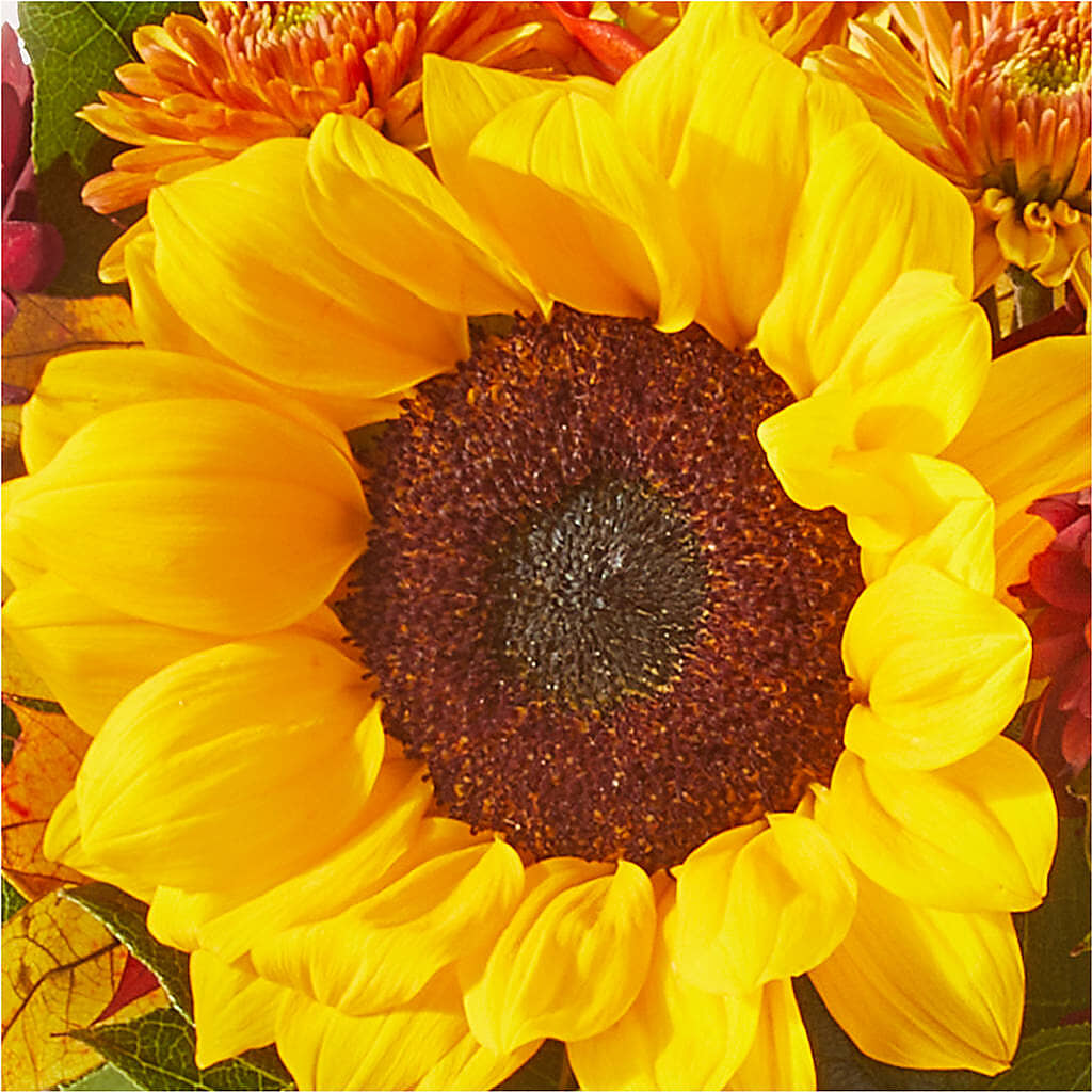 Sunny Side Bouquet –  La La Florist, Baldwin Park CA
