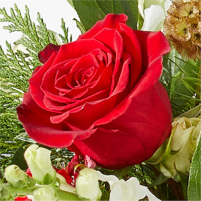 Deck the Halls Bouquet –  La La Florist, Baldwin Park CA