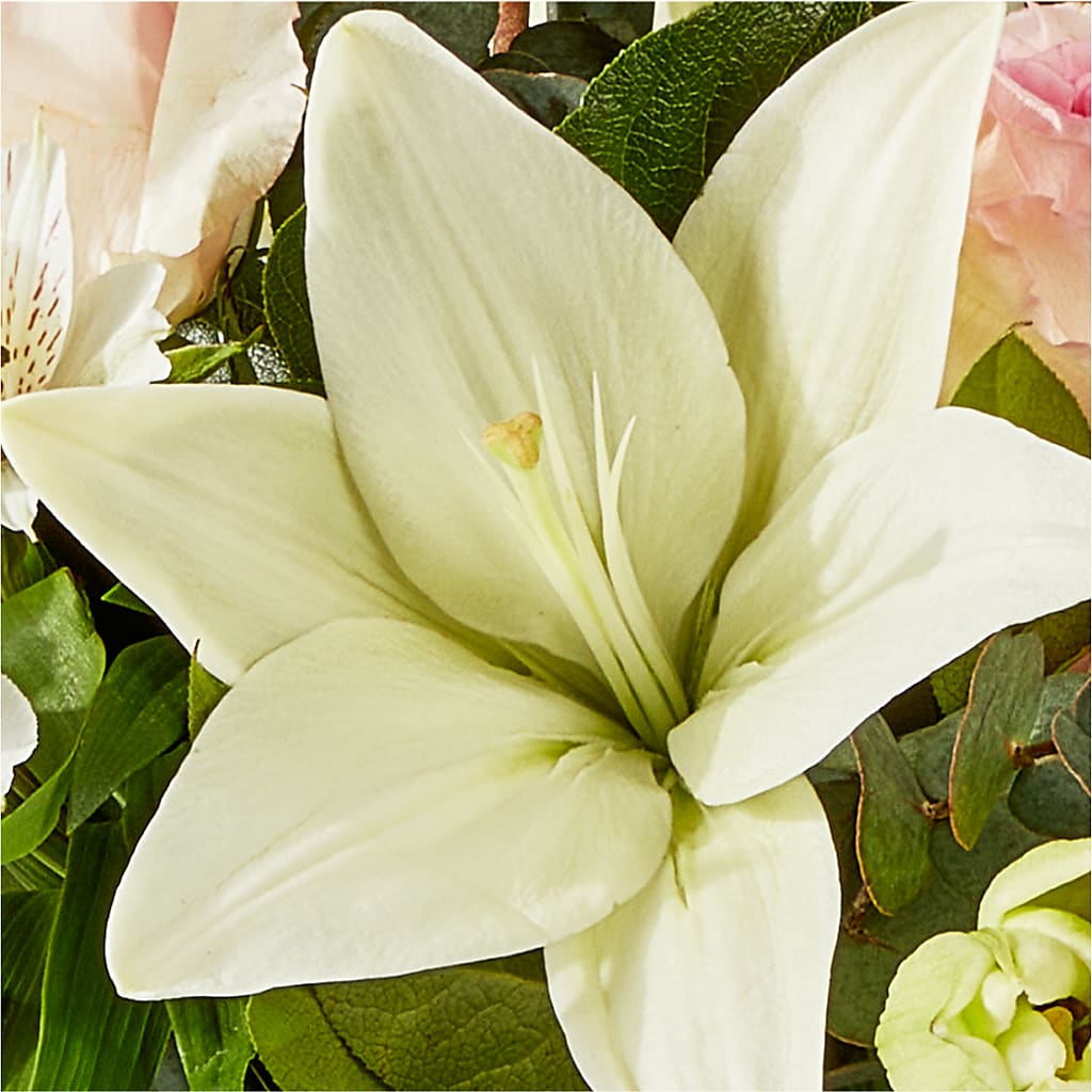 Ballet Slippers Bouquet –  La La Florist, Baldwin Park CA