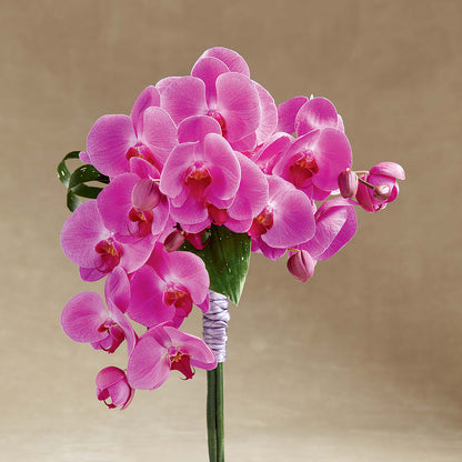 Glorious Bouquet –  La La Florist, Baldwin Park CA