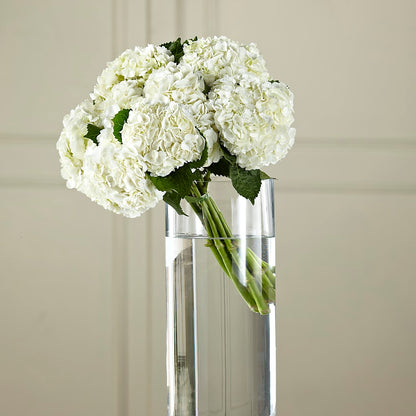 White Hydrangea Hand-Tied Bouquet –  La La Florist, Baldwin Park CA